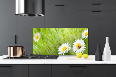 Kitchen Splashback Grass daisies nature white green