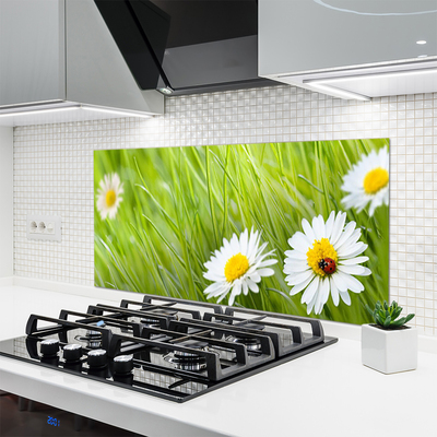 Kitchen Splashback Grass daisies nature white green