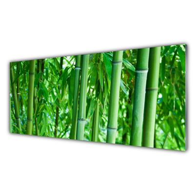 Kitchen Splashback Bamboo stalk floral green