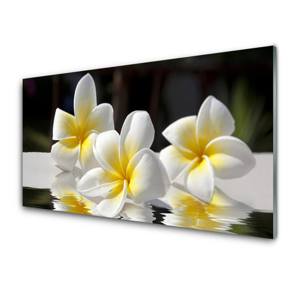 Kitchen Splashback Flowers floral white yellow