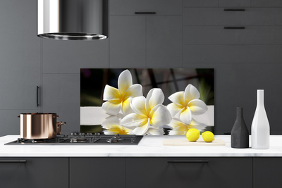 Kitchen Splashback Flowers floral white yellow