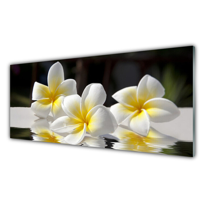 Kitchen Splashback Flowers floral white yellow