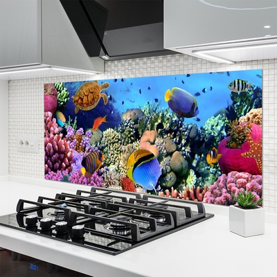 Kitchen Splashback Coral reef nature multi