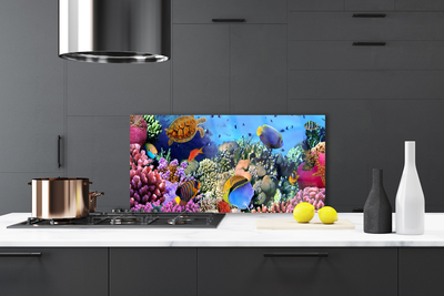 Kitchen Splashback Coral reef nature multi