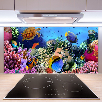 Kitchen Splashback Coral reef nature multi