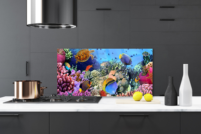 Kitchen Splashback Coral reef nature multi