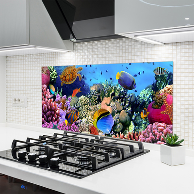 Kitchen Splashback Coral reef nature multi