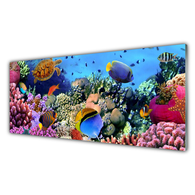 Kitchen Splashback Coral reef nature multi