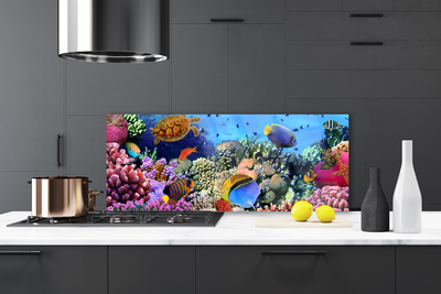 Kitchen Splashback Coral reef nature multi