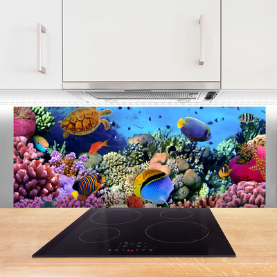 Kitchen Splashback Coral reef nature multi