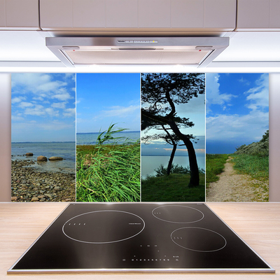 Kitchen Splashback Beach tree footpath landscape green brown black