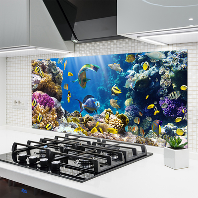 Kitchen Splashback Coral reef nature multi