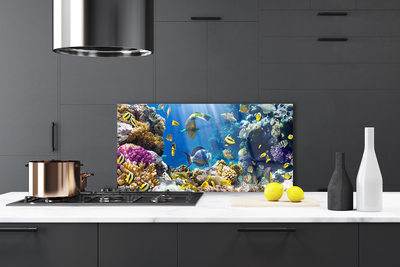 Kitchen Splashback Coral reef nature multi