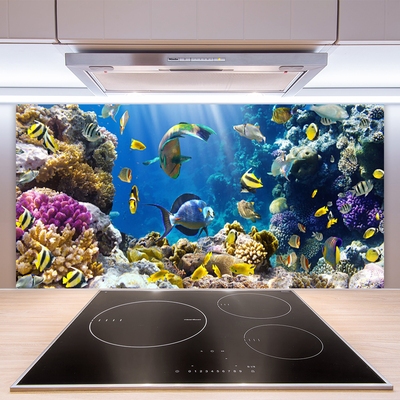 Kitchen Splashback Coral reef nature multi