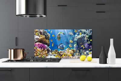 Kitchen Splashback Coral reef nature multi