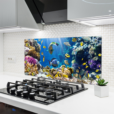 Kitchen Splashback Coral reef nature multi