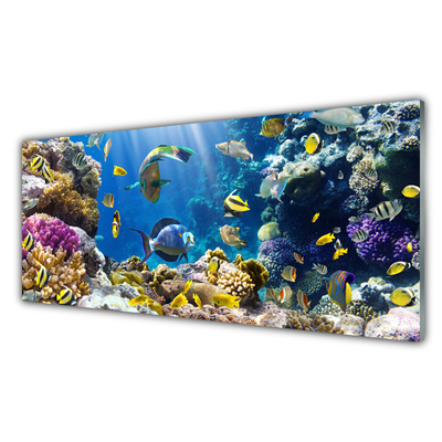 Kitchen Splashback Coral reef nature multi