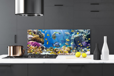 Kitchen Splashback Coral reef nature multi