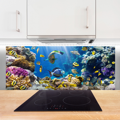 Kitchen Splashback Coral reef nature multi