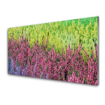 Kitchen Splashback Flower floral purple red green