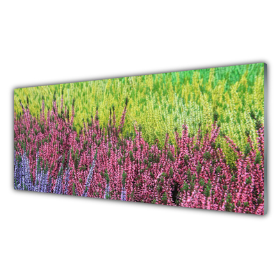 Kitchen Splashback Flower floral purple red green