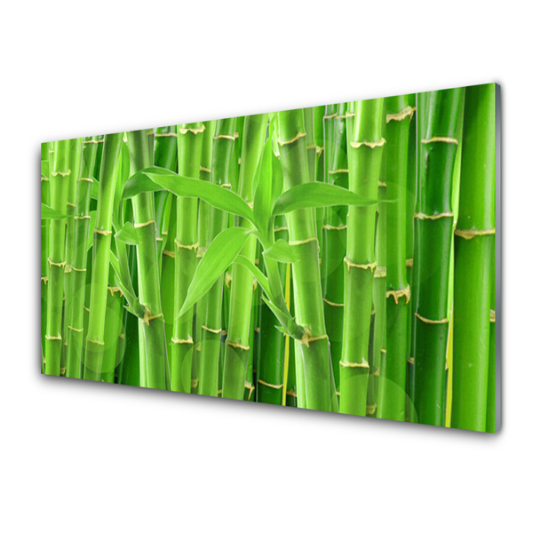 Kitchen Splashback Bamboo stalk floral green