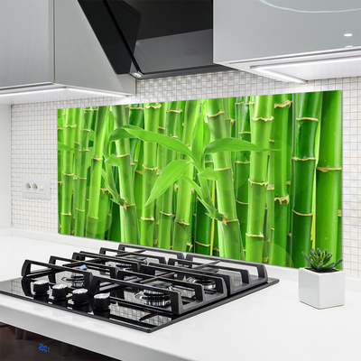 Kitchen Splashback Bamboo stalk floral green