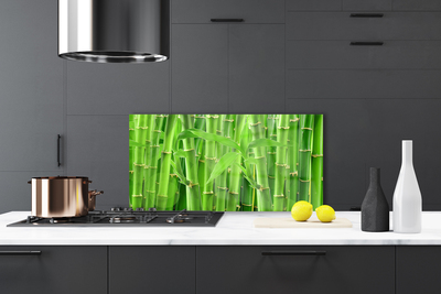 Kitchen Splashback Bamboo stalk floral green