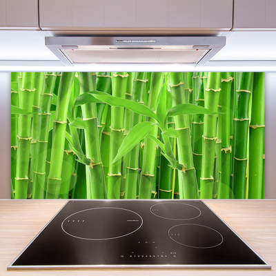 Kitchen Splashback Bamboo stalk floral green