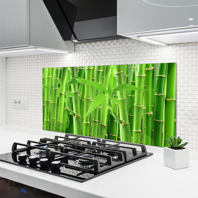 Kitchen Splashback Bamboo stalk floral green