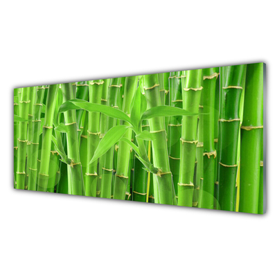 Kitchen Splashback Bamboo stalk floral green