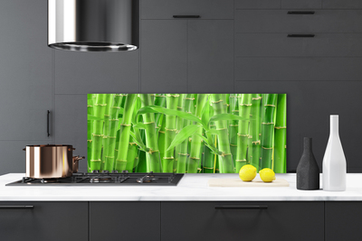 Kitchen Splashback Bamboo stalk floral green