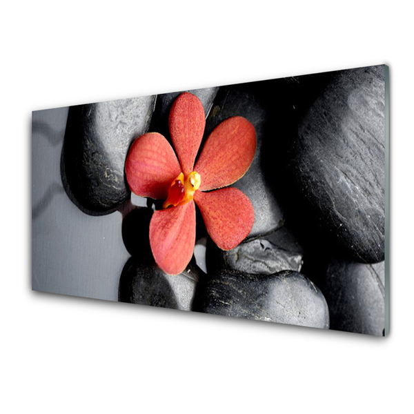 Kitchen Splashback Flower stones art red grey