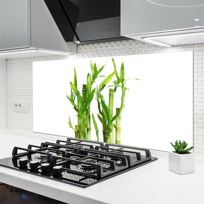 Kitchen Splashback Bamboo stalks floral green