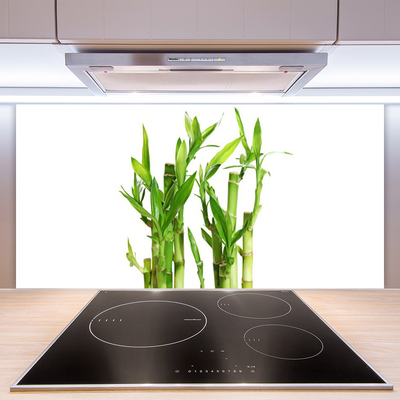 Kitchen Splashback Bamboo stalks floral green