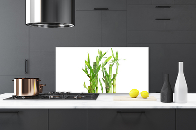 Kitchen Splashback Bamboo stalks floral green