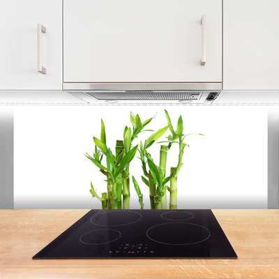 Kitchen Splashback Bamboo stalks floral green