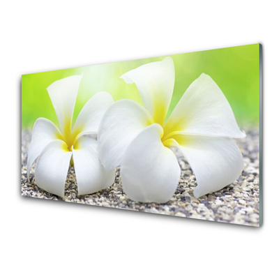 Kitchen Splashback Flowers floral white