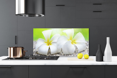 Kitchen Splashback Flowers floral white