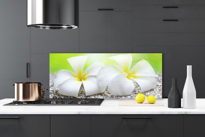 Kitchen Splashback Flowers floral white