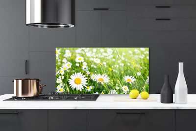 Kitchen Splashback Daisy floral white yellow green