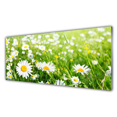 Kitchen Splashback Daisy floral white yellow green