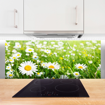 Kitchen Splashback Daisy floral white yellow green