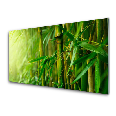 Kitchen Splashback Bamboo stalks floral green