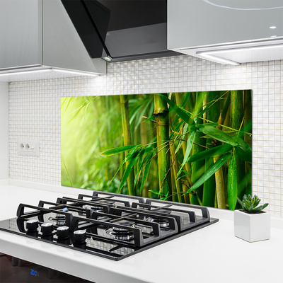 Kitchen Splashback Bamboo stalks floral green