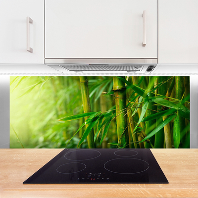 Kitchen Splashback Bamboo stalks floral green