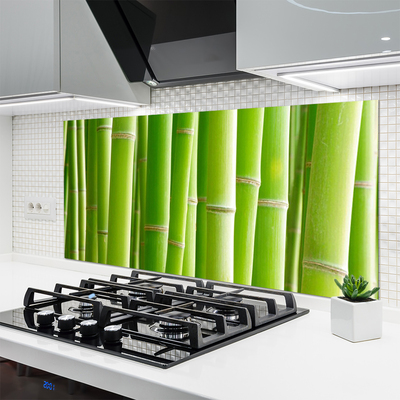 Kitchen Splashback Bamboo stalks floral green