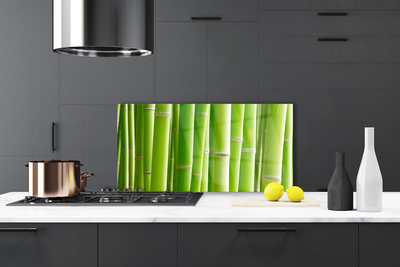 Kitchen Splashback Bamboo stalks floral green