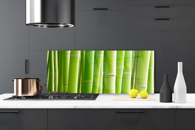 Kitchen Splashback Bamboo stalks floral green