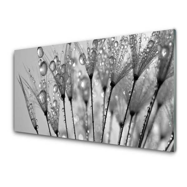 Kitchen Splashback Dandelion floral grey